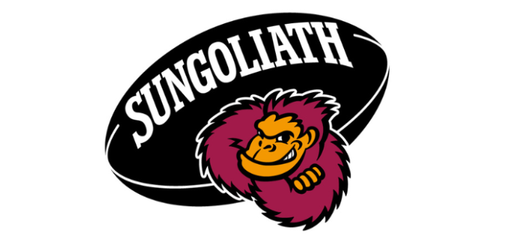 【ラグビー求人】MDスタッフ